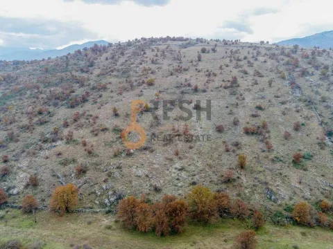 Prodaja, plac, 10000m², Ostalo, Podgorica