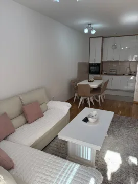 Rent, one bedroom apartment, 59m², Central Point, Podgorica - image 283