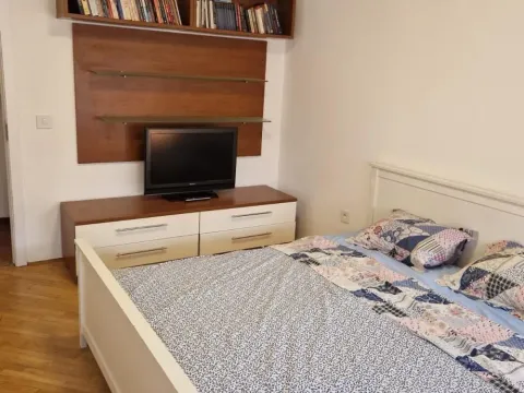 Izdavanje, četvorosoban stan, 100m², Vračar Hram, Vračar Sve Podlokacije - image 10