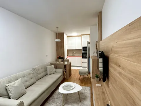 Izdavanje, jednosoban stan, 45m², Stari Aerodrom, Podgorica - image 3