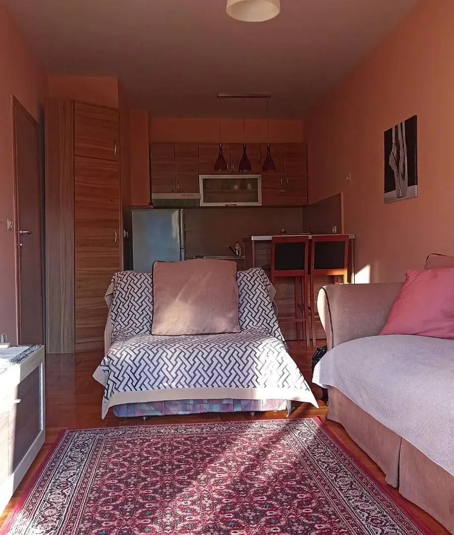 Rent, one bedroom apartment, 32m², Vezirov Most, Podgorica