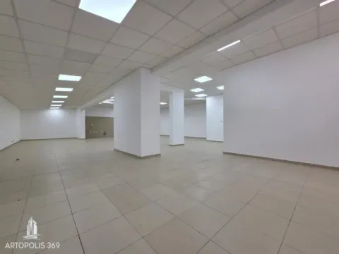 Izdavanje, poslovni prostor, 310m², Dušanovac, Voždovac Sve Podlokacije - image 6