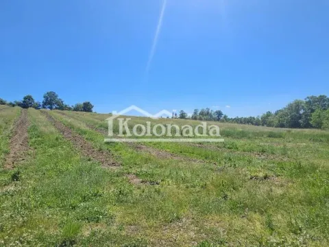 Prodaja, plac, 19400m², Sopot, Beograd - image 11