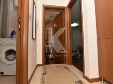 Izdavanje, jednosoban stan, 46m², Stari Aerodrom, Podgorica - image 8