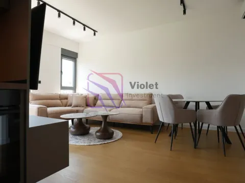 Izdavanje, jednosoban stan, 47m², Dalmatinska ulica, Podgorica - image 38