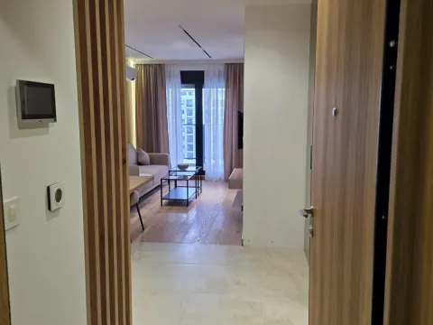 Rent, one bedroom apartment, 44m², Preko Morače, Podgorica - image 7