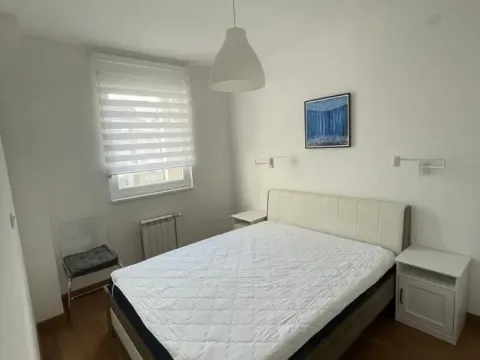 Izdavanje, jednosoban stan, 42m², Rotkvarija, Novi Sad Sve Podlokacije - image 4