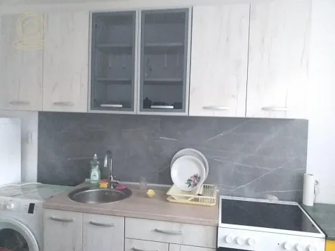 Izdavanje, dvosoban stan, 62m², Detelinara, Novi Sad Sve Podlokacije - image 5