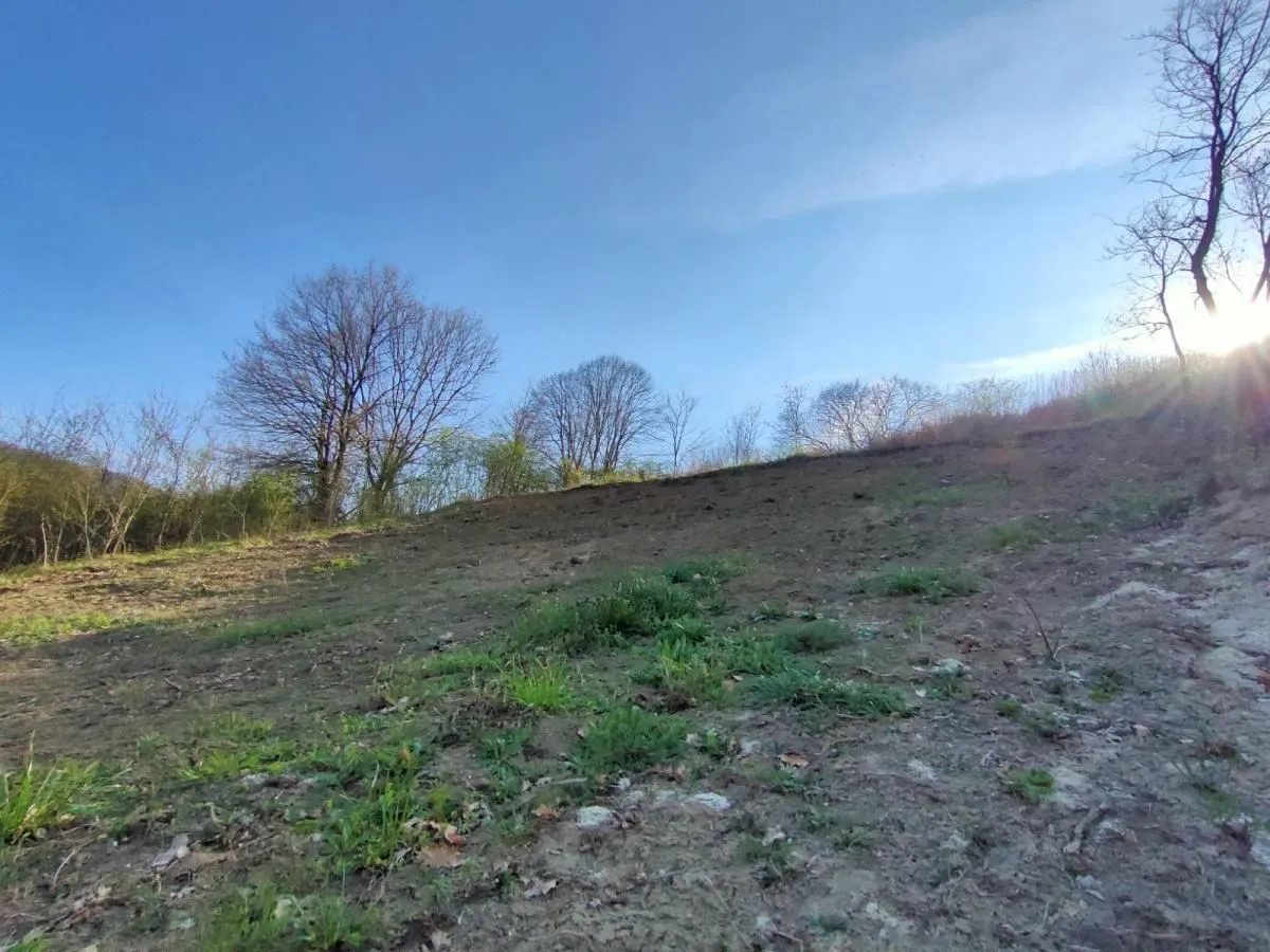 Prodaja, plac, 1300m², Beočin, Srbija