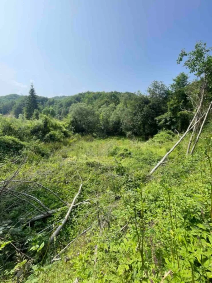 Prodaja, plac, 858m², Mateševo, Kolašin