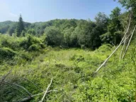 Prodaja, plac, 858m², Mateševo, Kolašin - image 4