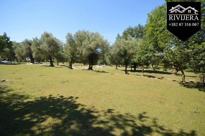 Prodaja, plac, 19000m², Podi, Herceg Novi