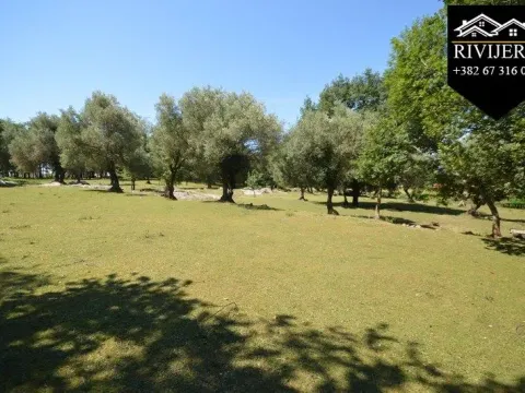 Prodaja, plac, 19000m², Podi, Herceg Novi - image 4