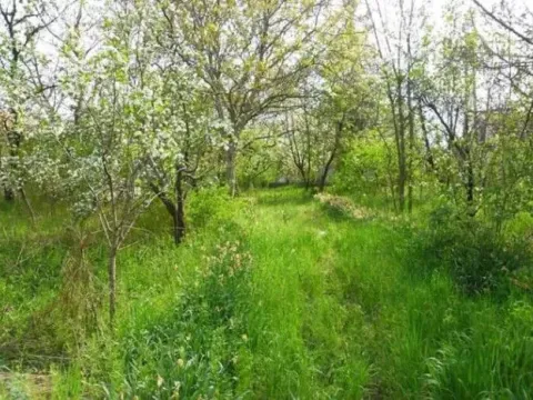 Prodaja, kuća, 200m², Borča Sve Podlokacije, Beograd - image 4