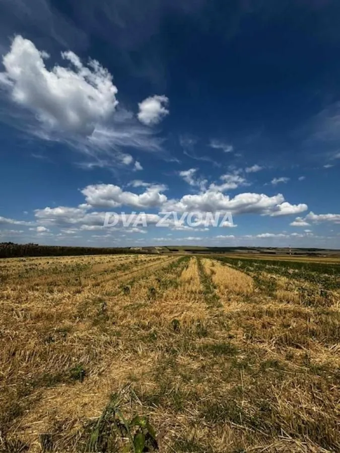 Sale, land lot, 11510m², Čortanovci, Inđija