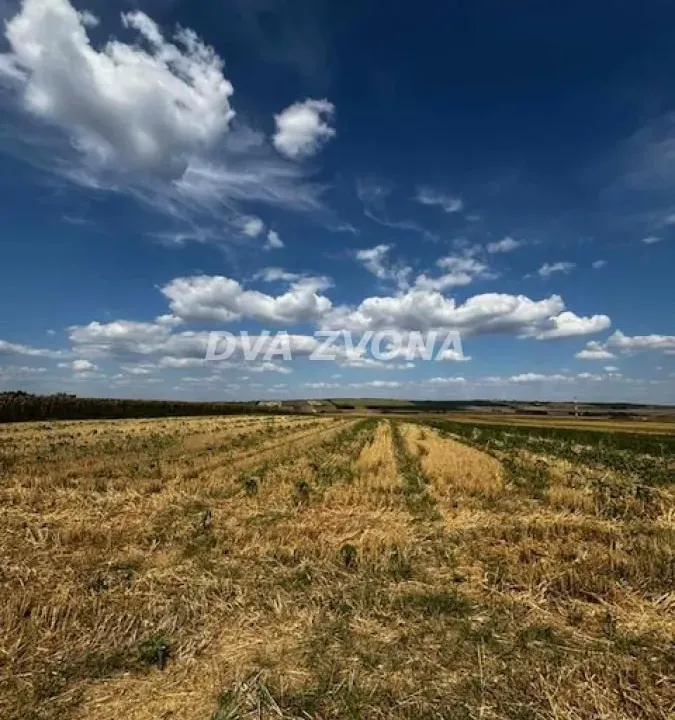 Sale, land lot, 11510m², Čortanovci, Inđija