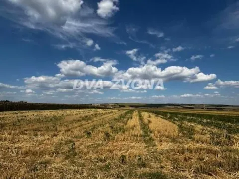 Sale, land lot, 11510m², Čortanovci, Inđija