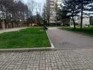 Prodaja, jednosoban stan, 45m², Centar, Nikšić - image 1