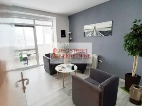 Izdavanje, dvosoban stan, 52m², Palilula Sve Podlokacije, Beograd - image 2