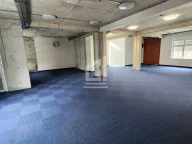 Izdavanje, poslovni prostor, 700m², Zabjelo, Podgorica - image 6