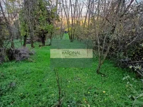Prodaja, plac, 92300m², Đurđevo brdo, Jagodina - image 11