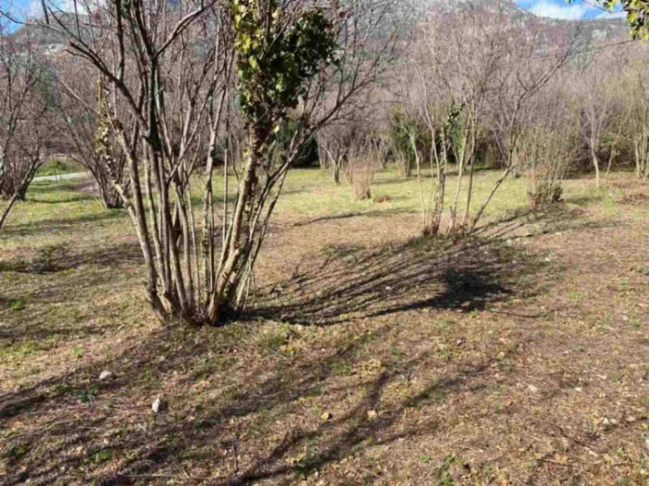 Prodaja, plac, 800m², Pečurice, Bar