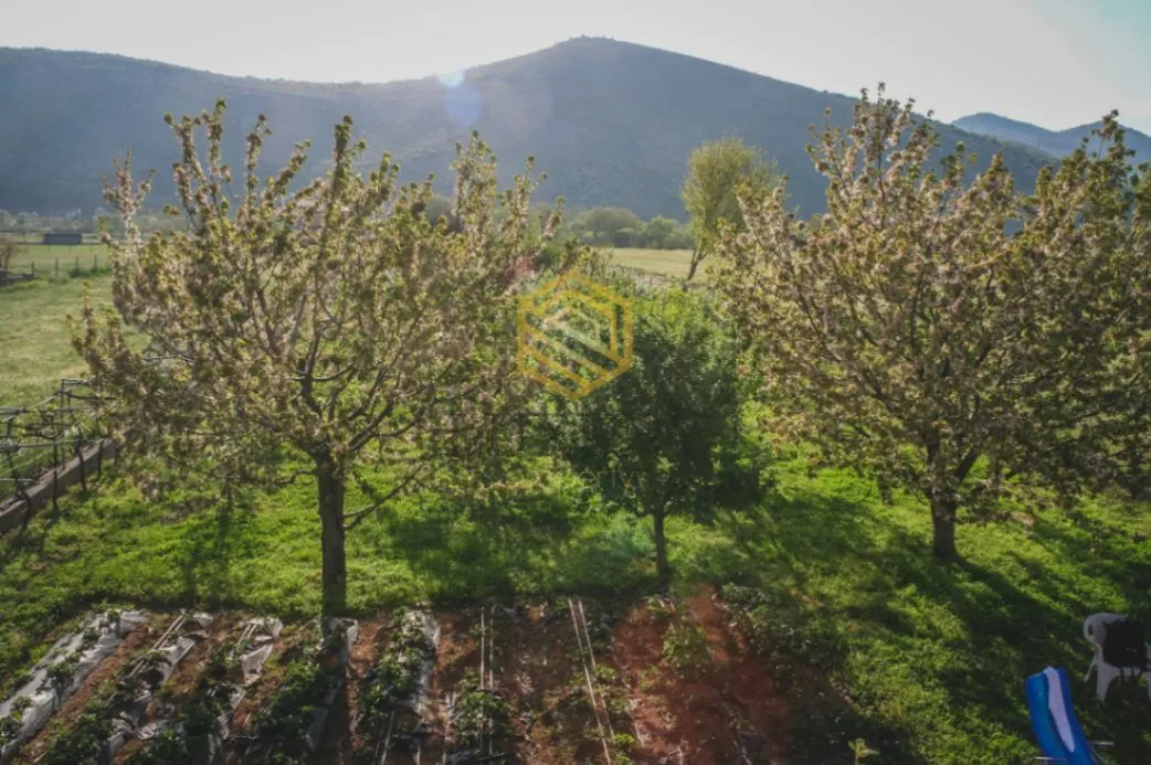 Rent, house, 200m², Donji Kokoti, Podgorica