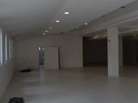 Izdavanje, poslovni prostor, 300m², Altina, Beograd - image 5