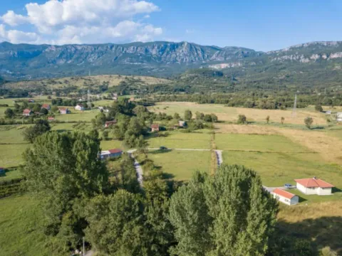 Sale, land lot, 6000m², Donji Martinići, Danilovgrad - image 2