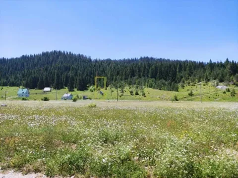 Prodaja, plac, Krš, Žabljak - image 2