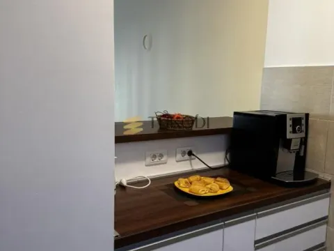 Izdavanje, dvosoban stan, 47m², Zemun Sve Podlokacije, Beograd - image 9