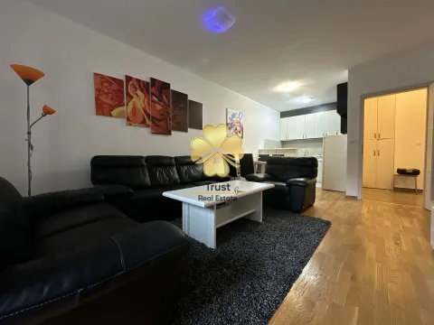 Izdavanje, jednosoban stan, 53m², Ljubović, Podgorica - image 3