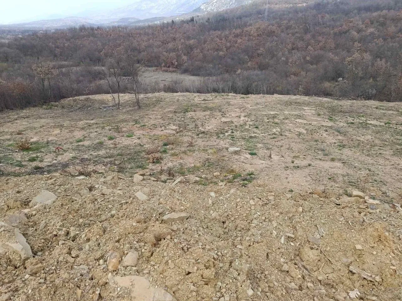 Prodaja, plac, 8000m², Piperi, Podgorica