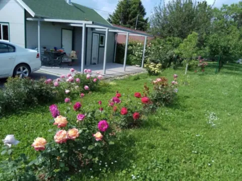 Sale, house, 30m², Ribnjak, Petrovaradin - image 10