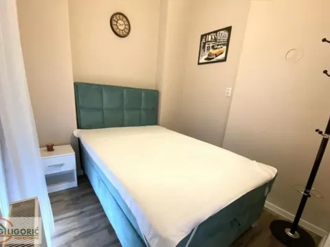 Rent, two bedroom apartment, 58m², Vračar Hram, Vračar Sve Podlokacije - image 9