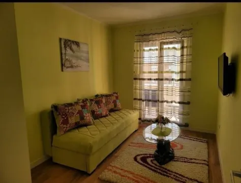 Bright living room with a green sofa and a glass coffee table. - image 9
