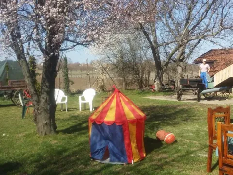 Izdavanje, kuća, 160m², Bajša, Bačka Topola - image 6