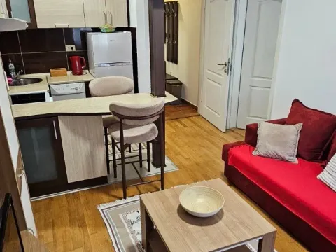 Rent, one bedroom apartment, 40m², Ljubović, Podgorica - image 3