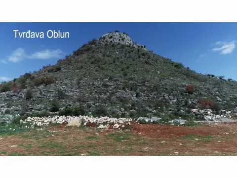 Sale, land lot, 15500m², Zeta, Podgorica - image 5