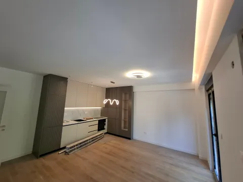 Izdavanje, jednosoban stan, 48m², Centar, Podgorica - image 5