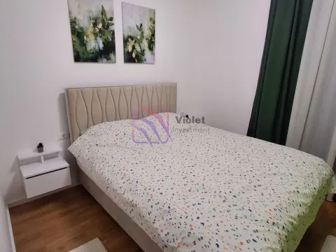 Rent, one bedroom apartment, 44m², Tološi, Podgorica - image 11