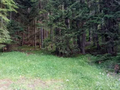 Zemljište in Žabljak