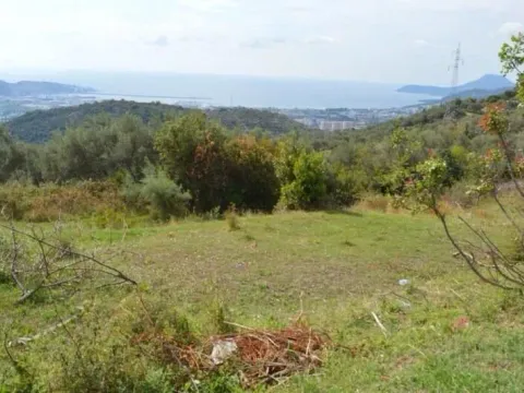 Prodaja, plac, 3000m², Velembusi, Bar - image 3