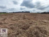 Prodaja, plac, 150m², Jasenak, Obrenovac - image 5