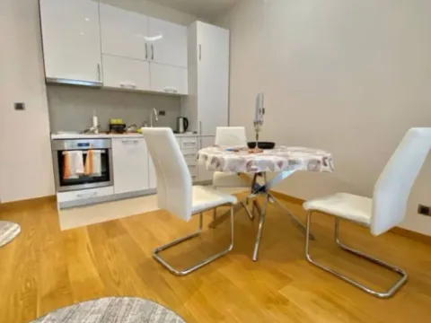 Izdavanje, jednosoban stan, 45m², Kod Capital Plaze, Podgorica - image 4