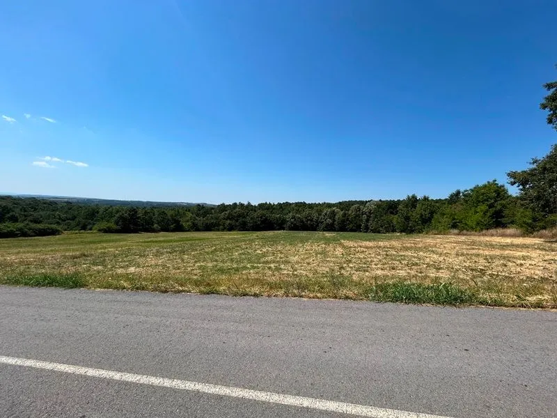 Prodaja, plac, 9200m², Kosmaj, Sopot