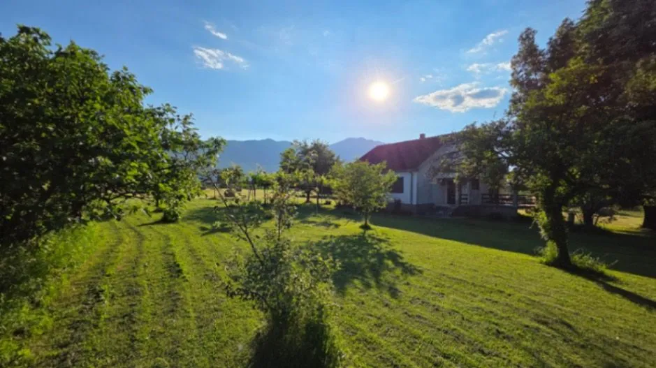 Prodaja, plac, 6000m², Ćurilac, Danilovgrad