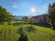 Prodaja, plac, 6000m², Ćurilac, Danilovgrad - image 1