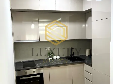 Izdavanje, jednosoban stan, 47m², Central Point, Podgorica - image 3