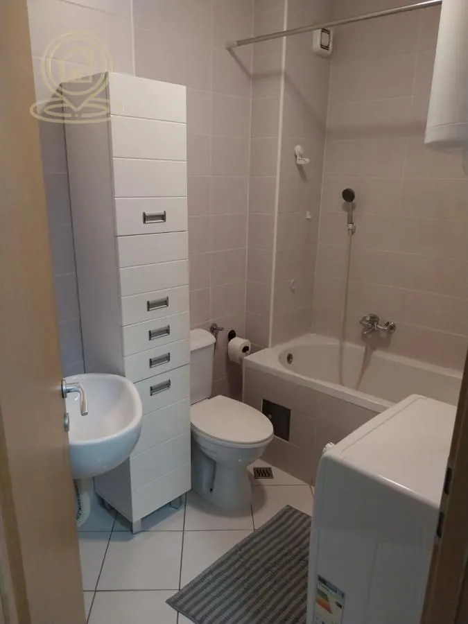 Rent, two bedroom apartment, 50m², Bulevar patrijarha Pavla, Novi Sad Sve Podlokacije